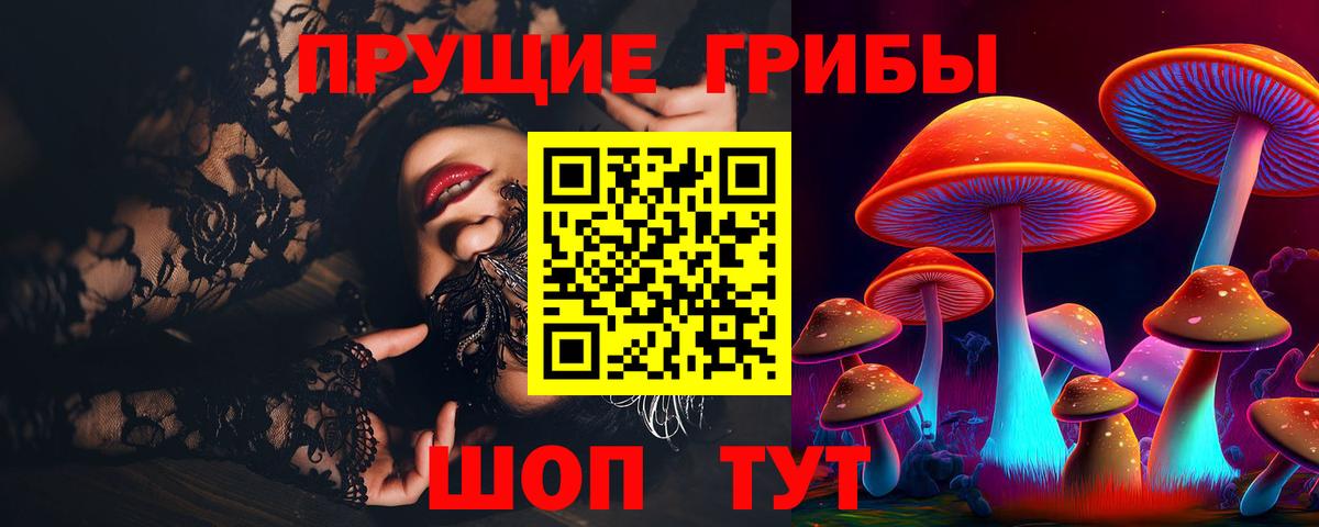 Галлюциногенные грибы Psilocybine cubensis Москва