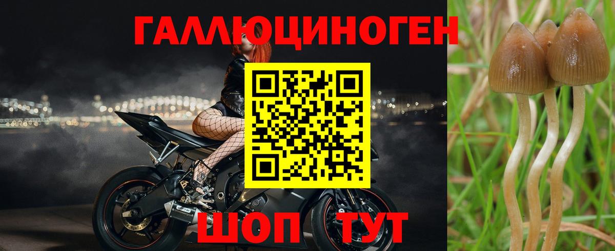 Псилоцибиновые грибы мухоморы  Вход с VPN  Москва 